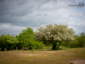 Seelenfänger Photographie | Tierpark Arche Warder