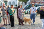 Seelenfänger Photographie | Meldorfer Kulturbonsche 2022