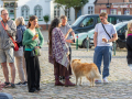 Seelenfänger Photographie | Meldorfer Kulturbonsche 2022