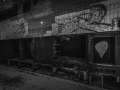 Seelenfänger Photographie | Beelitz - Heilstätten