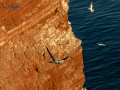 Seelenfänger Photographie |  Helgoland 2022