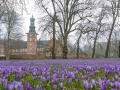 Seelenfänger Photographie | Husumer Krokusblüte 2023