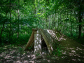 Seelenfänger Photographie | Steinzeitpark Dithmarschen