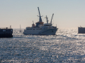 Seelenfänger Photographie |  Helgoland 2023