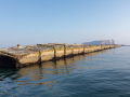 Seelenfänger Photographie |  Helgoland 2023