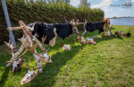Seelenfänger Photographie | Mittelaltermarkt Schwabstedt 2024