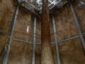 Seelenfänger Photographie | Arboretum Ellerhoop