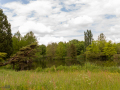 Seelenfänger Photographie | Arboretum Ellerhoop