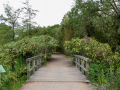 Seelenfänger Photographie | Arboretum Ellerhoop