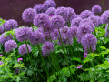 Seelenfänger Photographie | Arboretum Ellerhoop