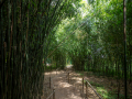 Seelenfänger Photographie | Arboretum Ellerhoop