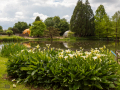 Seelenfänger Photographie | Arboretum Ellerhoop