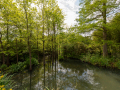 Seelenfänger Photographie | Arboretum Ellerhoop