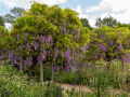 Seelenfänger Photographie | Arboretum Ellerhoop