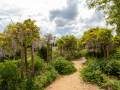 Seelenfänger Photographie | Arboretum Ellerhoop