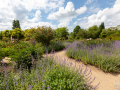 Seelenfänger Photographie | Arboretum Ellerhoop