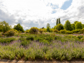 Seelenfänger Photographie | Arboretum Ellerhoop