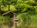 Seelenfänger Photographie | Arboretum Ellerhoop