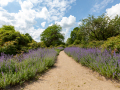 Seelenfänger Photographie | Arboretum Ellerhoop