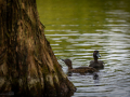 Seelenfänger Photographie | Arboretum Ellerhoop