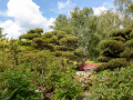 Seelenfänger Photographie | Arboretum Ellerhoop