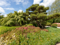 Seelenfänger Photographie | Arboretum Ellerhoop