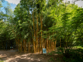 Seelenfänger Photographie | Arboretum Ellerhoop