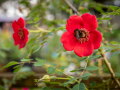 Seelenfänger Photographie | Arboretum Ellerhoop