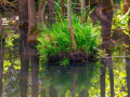 Seelenfänger Photographie | Arboretum Ellerhoop