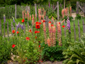 Seelenfänger Photographie | Arboretum Ellerhoop