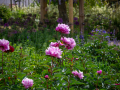 Seelenfänger Photographie | Arboretum Ellerhoop