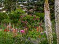 Seelenfänger Photographie | Arboretum Ellerhoop