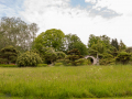 Seelenfänger Photographie | Arboretum Ellerhoop