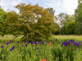 Seelenfänger Photographie | Arboretum Ellerhoop