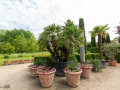 Seelenfänger Photographie | Arboretum Ellerhoop