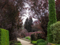 Seelenfänger Photographie | Arboretum Ellerhoop