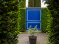 Seelenfänger Photographie | Arboretum Ellerhoop