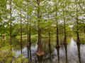 Seelenfänger Photographie | Arboretum Ellerhoop