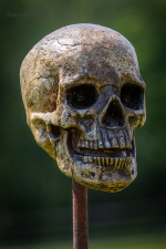 Seelenfänger Photographie | Mittelalterfest Hufe Quickborn 2024