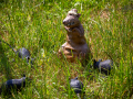 Seelenfänger Photographie | Mittelalterfest Hufe Quickborn 2024