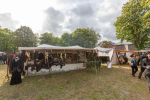 Seelenfänger Photographie | Lucy Fairs Garden 2025