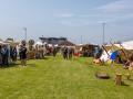 Seelenfänger Photographie | Wikingertage Friedrichskoog 2025