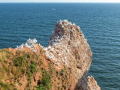 Seelenfänger Photographie | Helgoland 2025