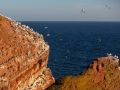 Seelenfänger Photographie | Helgoland 2025