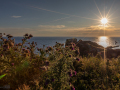 Seelenfänger Photographie | Helgoland 2025