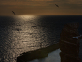 Seelenfänger Photographie | Helgoland 2025