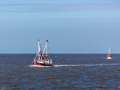 Seelenfänger Photographie | Helgoland 2025