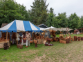 Seelenfänger Photographie |  Mittelaltermarkt Tydal 2025
