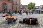 Seelenfänger Photographie | Slawen- und Wikingermarkt Plön 2025