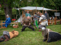Seelenfänger Photographie | Slawen- und Wikingermarkt Plön 2025